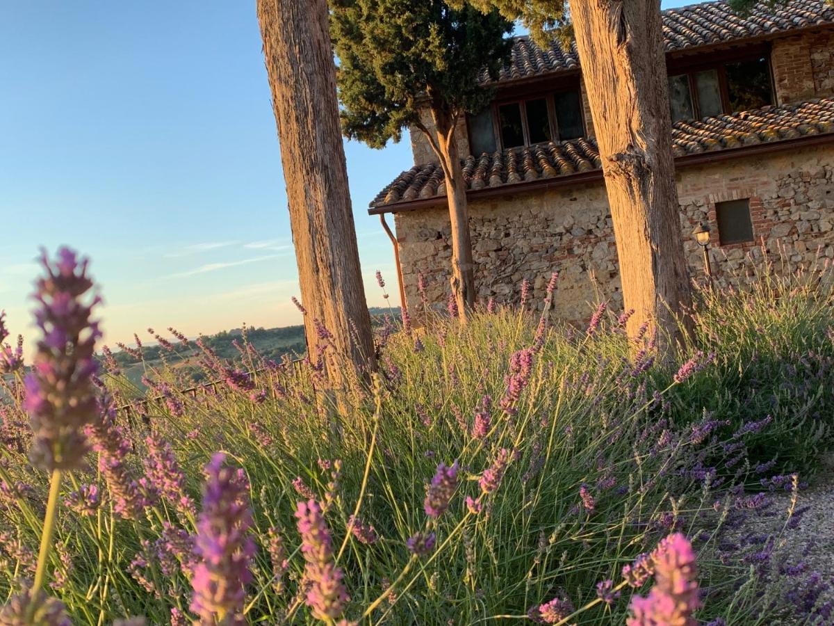 Fattoria Monastero Sant'Anna In Camprena Villa Пиенца Екстериор снимка