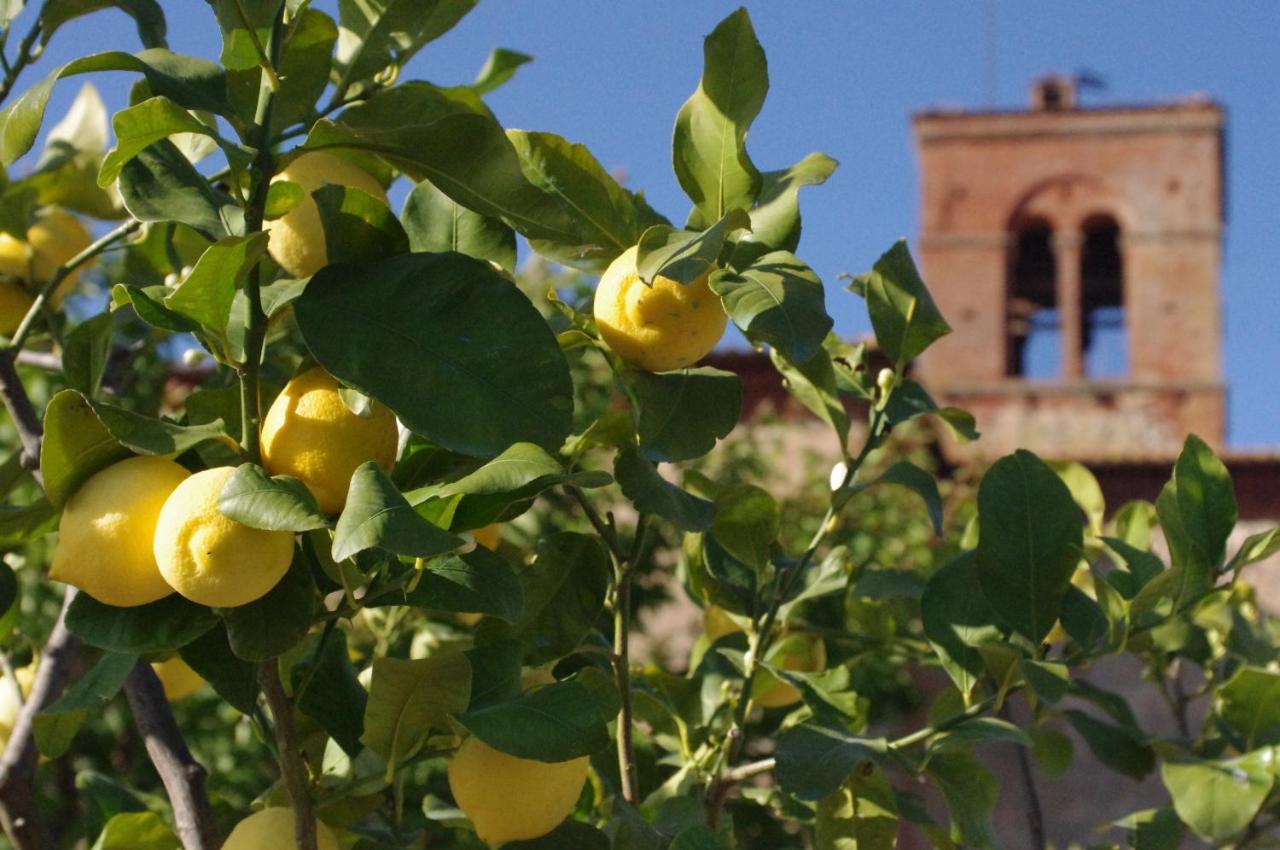 Monastero Sant'Anna In Camprena Villa Пиенца Екстериор снимка