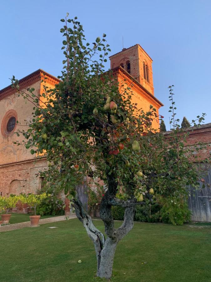 Fattoria Monastero Sant'Anna In Camprena Villa Пиенца Екстериор снимка